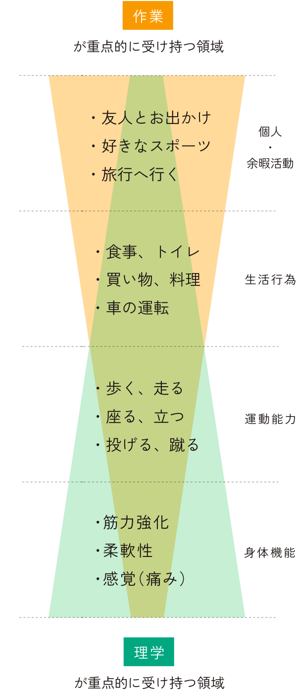 理学療法士と作業療法士の違いを示す図