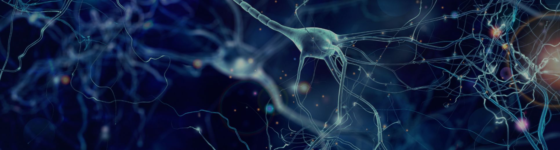 血流が拓く、次世代のリハビリテーション